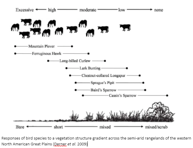 Diversity of grazing function maximises diversity of wildlife though impacts on vegetation structure. Here’s an example:  https://www.sciencedirect.com/science/article/abs/pii/S1550742409500218
