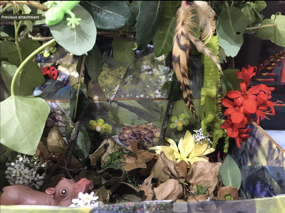 GeogHarper's tweet photo. This week year 7 have been challenged to create a rainforest in a box to demonstrate all they have been researching! What a fantastic entry from Hannah Weaver, Wow! @HarperGreen @Year7HGS https://t.co/5mTPFLuk3N