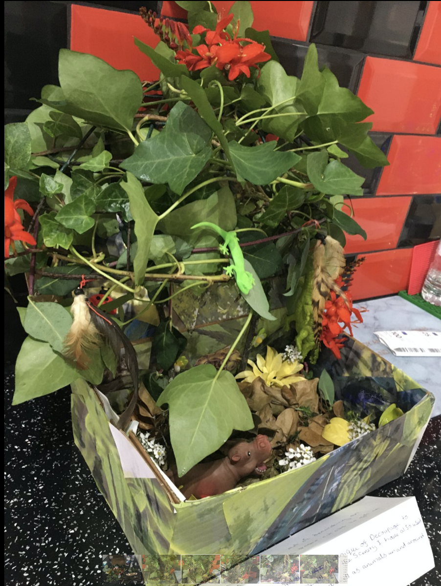 GeogHarper's tweet photo. This week year 7 have been challenged to create a rainforest in a box to demonstrate all they have been researching! What a fantastic entry from Hannah Weaver, Wow! @HarperGreen @Year7HGS https://t.co/5mTPFLuk3N