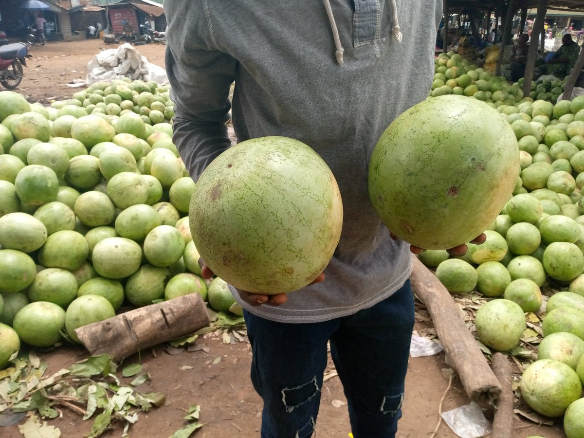 Ewoboluwatito's tweet photo. Pls tweeps i sell what you eat kindly rt my hustle 🙏🙏
#CinderellabySonyJojo #FlightToCanada #NairaWinEconcert #FreeShola #WizkidAt30 tolulope arotile Segalink Fahim Saleh Gokada Rest In Peace UNA DEY MAD Aunty Ada Wenger The DPO May God Gokada What Kind Of Cake Are You Nigeria https://t.co/Q5gdhBO9oE