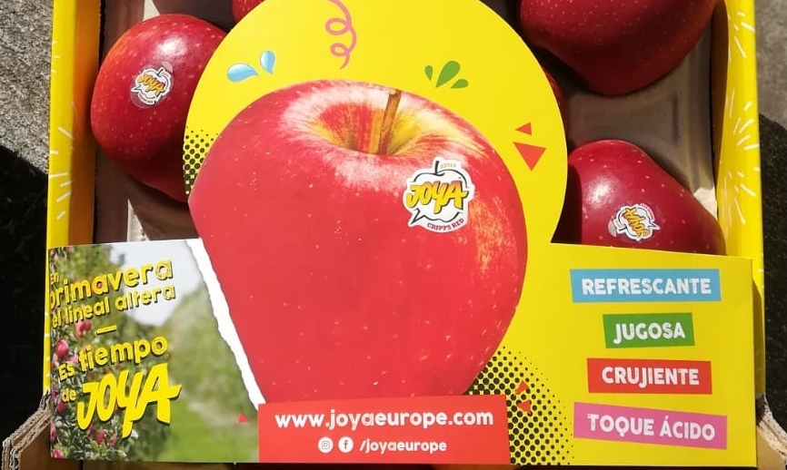 SomosMINT's tweet photo. 🍎 Joya® is a new apple variety to the Spanish market. Juicy, crunchy, tasty… very exciting! Despite having to change our activation plan due to #covid19, we managed to engage successfully with the trade. And sales rocketed! #apple #trademarketing #wholesalers #grocers https://t.co/aRnn1PI5S7