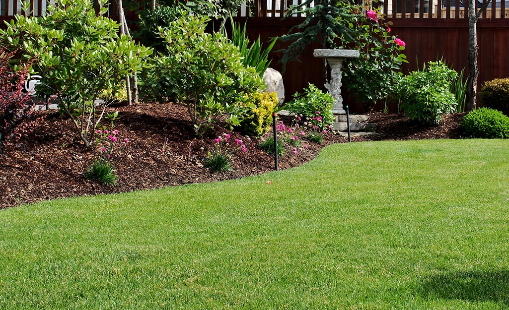 CooperLawnscape's tweet photo. A well-landscaped home has a significant price advantage over a home with no landscaping. This advantage ranges from 5.5 percent to 12.7 percent, which translates into an extra $16,500 to $38,100 in value on a $300,000 home.
#WisdomWednesday https://t.co/UUgKYZojDy