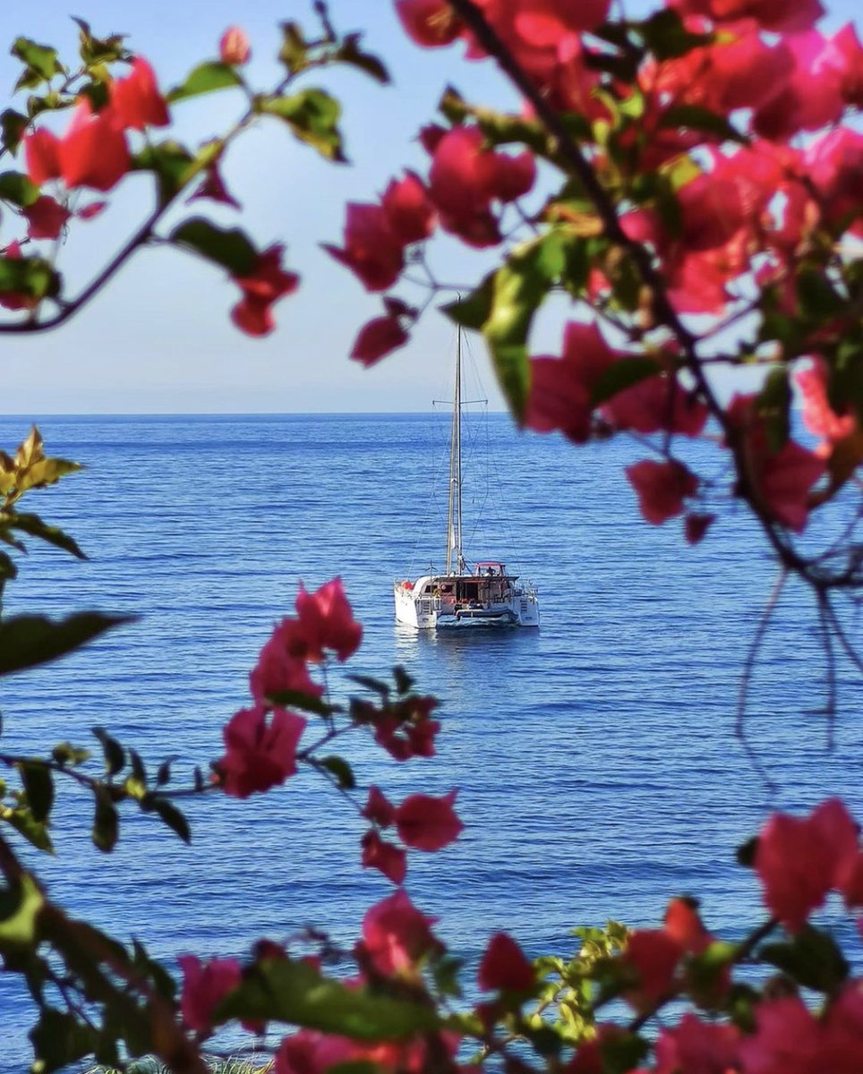 Nuestro Verano ⛵️

Mar de Adra #CostadeAlmeria 

📸 liferant

#Adra #Almeria #Pueblos #mediterraena #Almeriaciudad #Mar #Paisajes #MarMediterraneo #Andalucia #España #quedateenandalucia #Spain