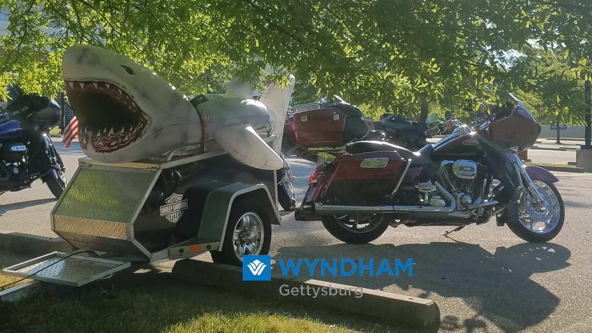 Well this is a different kind of Sharkweek then we are used to...but what fun. Out and about in Gettysburg today? Look for this shark which is staying on the Gateway Gettysburg campus.