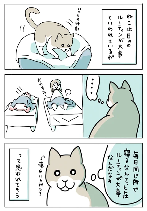 ねこの目線で、思いを馳せる #ねこねこ哲学 。
ニンゲンもねこも、似てるところがあるから一緒に暮らせるのかもしれないなぁ😺😀

#日常漫画 #猫のいる生活 