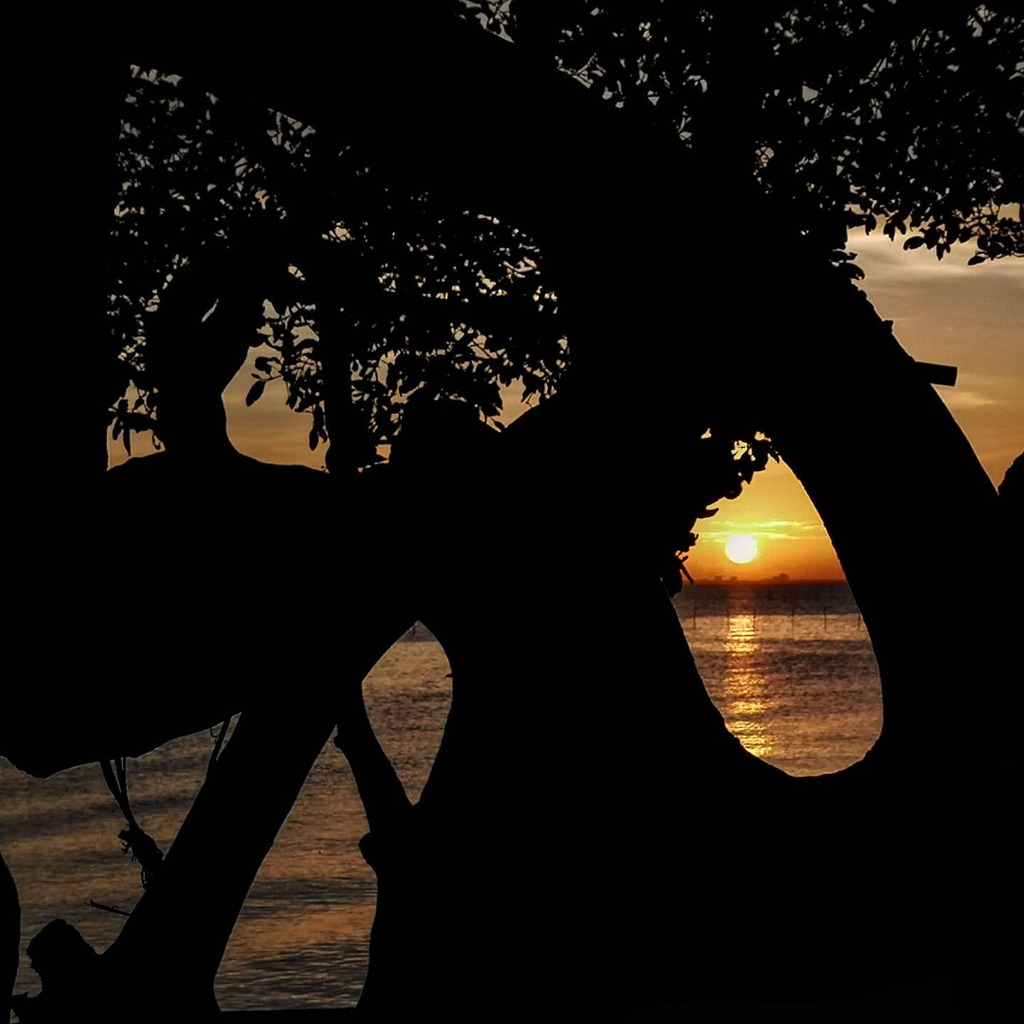 Sunset at Dumangas #iloilo #dumangas #philippines #iamiloilo #nature #panay #TagStaGram #sunset #follow4follow #tree #beach #beachlife #instanaturefriends #natureskingdom #sunset_united #clouds #beauty #light #cloudporn #photooftheday #love #skylovers #m… instagr.am/p/CCqkKVSpHVj/