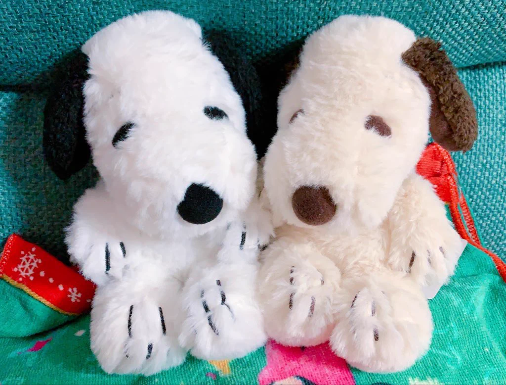 @_nunnun_1 すぬぴのおすそわけです… どぞ… 