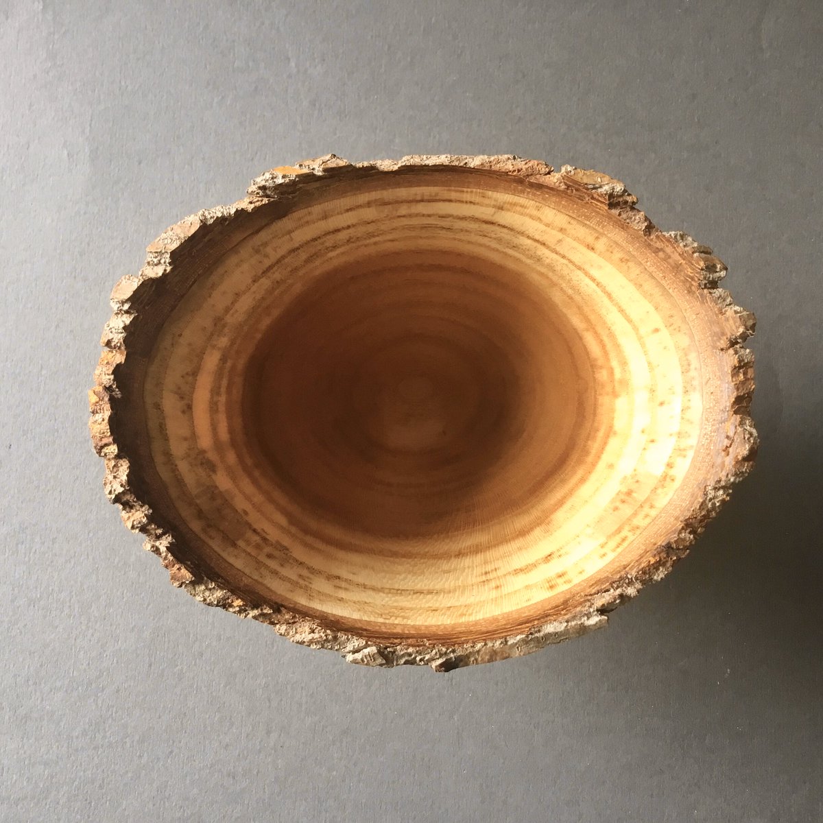 annawoodturner's tweet photo. I’ve turned this thin Mulberry bowl from green wood. Look how it’s warped whilst drying! 
Come and see it at the Sussex Prairies Craft Fair near Henfield this weekend, open 11-5. 

@sussexprairies #annawoodturner #thinbowlturning #craftfair #daysoutinsussex https://t.co/9FE7SvXlOD