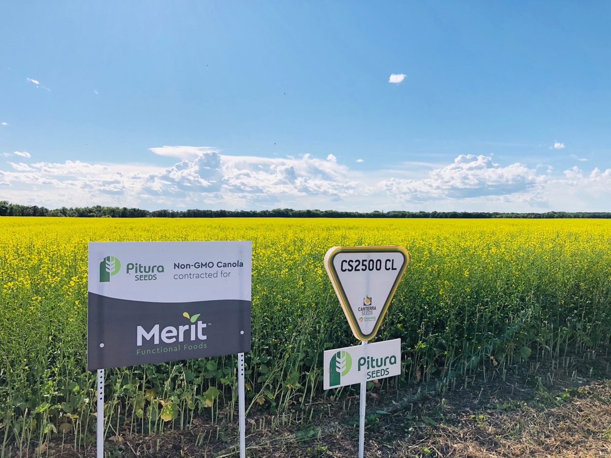 KatharynHouston's tweet photo. That's one heck of a good combo @canterraseeds @Pituraseeds @MeritProteins, nice signage @stevetapley55 😎
Check these guys out for contracts as well as our complementary line-up when booking seed this fall.
#SeedTheDifference https://t.co/MMMOkfPAUY