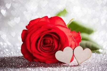 amaramen201560's tweet photo. تشرفنا بمرورك الجميل https://t.co/JFUAkK2yjt