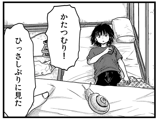 大きいかたつむりほんと見なくなりましたよね 