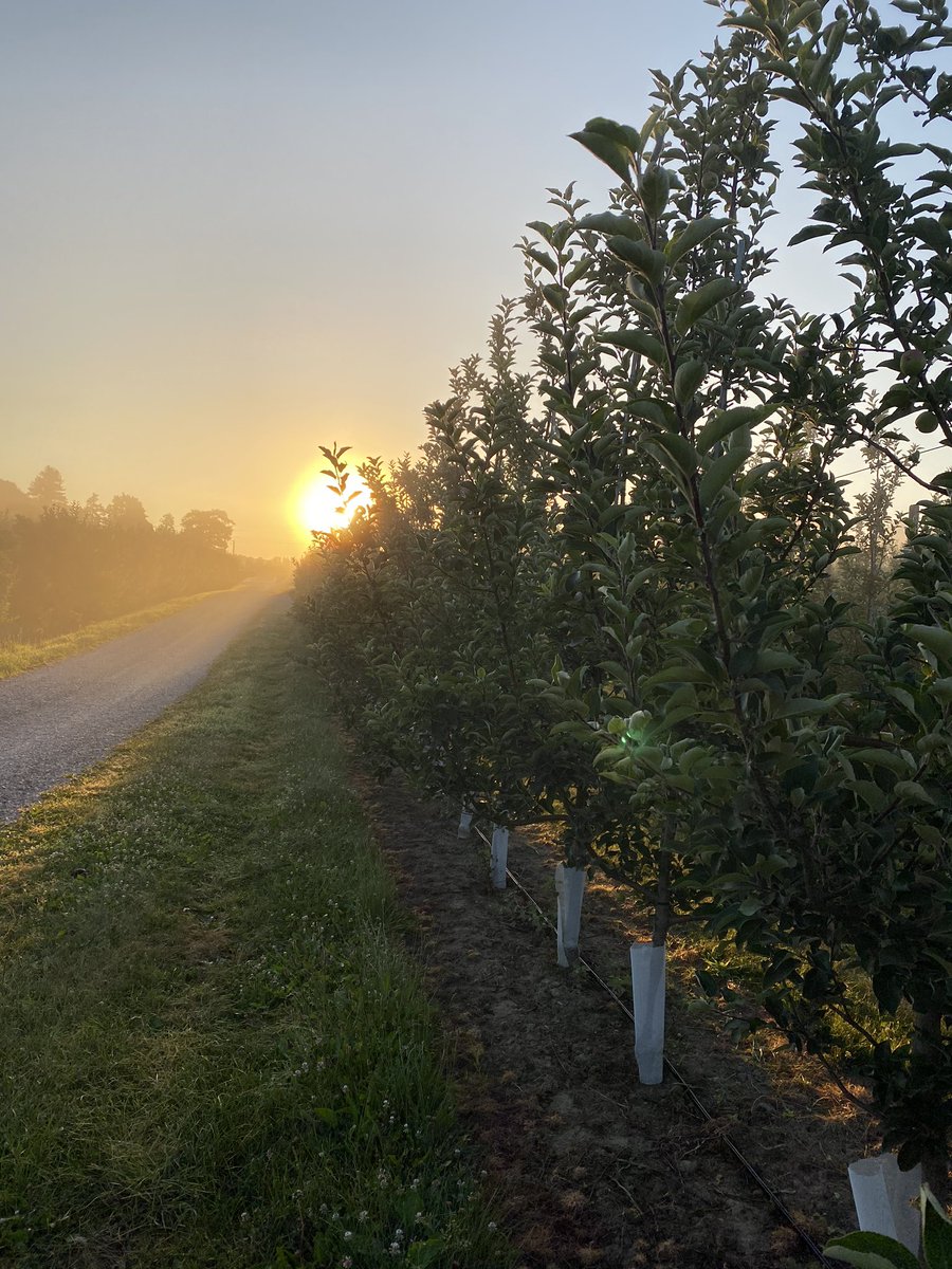 Amanda Dooney tweet media