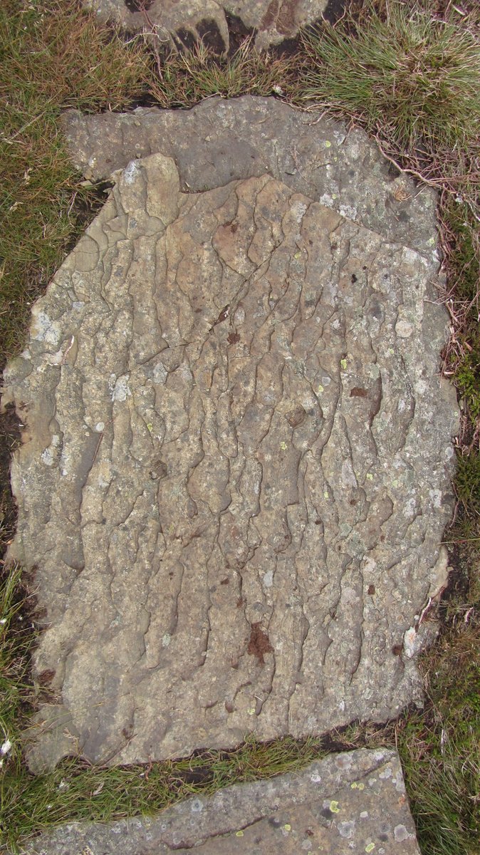 Day 3) cont:Flagstones paved the way to the highest point in Northumberland where I took a rubbing of The Cheviot's trig bracket set in it's whitewashed pillar 'S1560'. The path continued along a ridge to the Mountain Hut: some stones where etched like contours on a relief map.