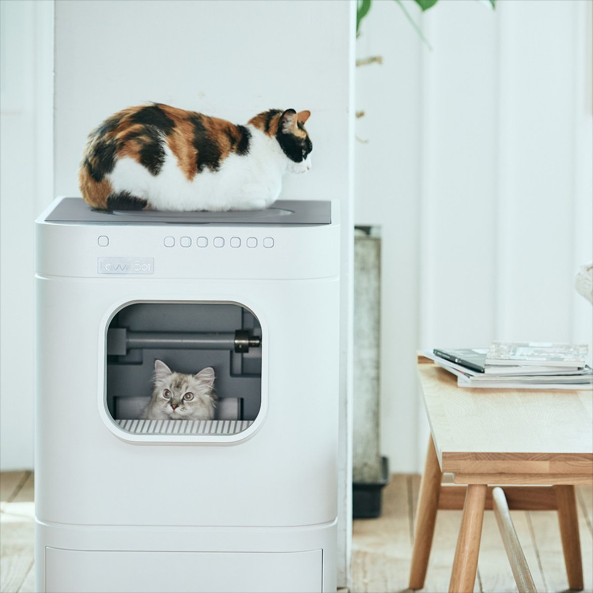 RobotShop's tweet image. Make day-to-day pet care easier with the LavvieBot S! Reserve yours now at @RobotShop! #LavvieBot #catslifestyle #domesticrobot #litterbox rb1.shop/35UVwSM