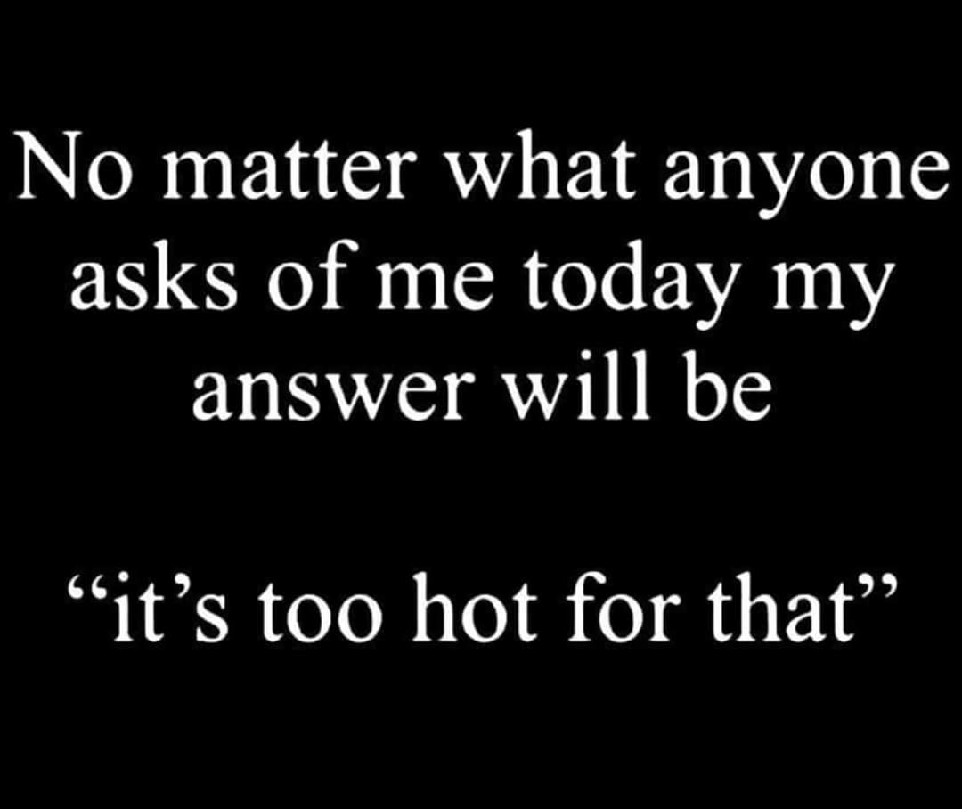 🕳Vanessa🇺🇸 (@itsmeaness) on Twitter photo 