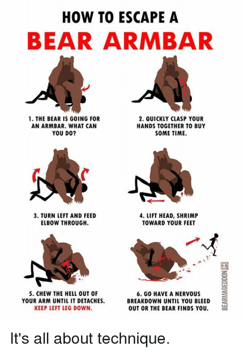 MichaelDavisPIO's tweet photo. #FireGroundUpdate: It is Wildland Fire Season in the USA once again. So, I thought it might be helpful to share my Bear Encounter Tips for Wildland Firefighters. https://t.co/SnNbnKcxBc
