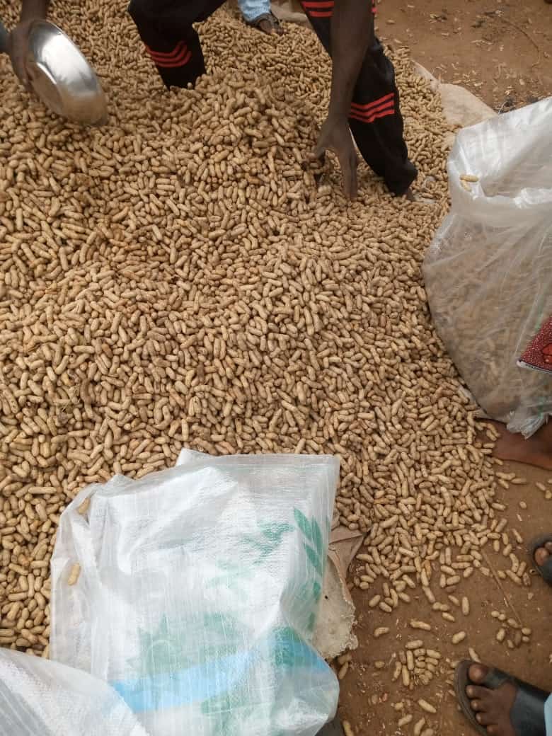jesu_femi's tweet photo. Pls tweeps i sell what you eat kindly rt my hustle 🙏🙏
#CinderellabySonyJojo #FlightToCanada #NairaWinEconcert #FreeShola #WizkidAt30 tolulope arotile Segalink Fahim Saleh Gokada Rest In Peace UNA DEY MAD Aunty Ada Wenger The DPO May God Gokada What Kind Of Cake Are You Nigeria https://t.co/m8Bsoc56y9