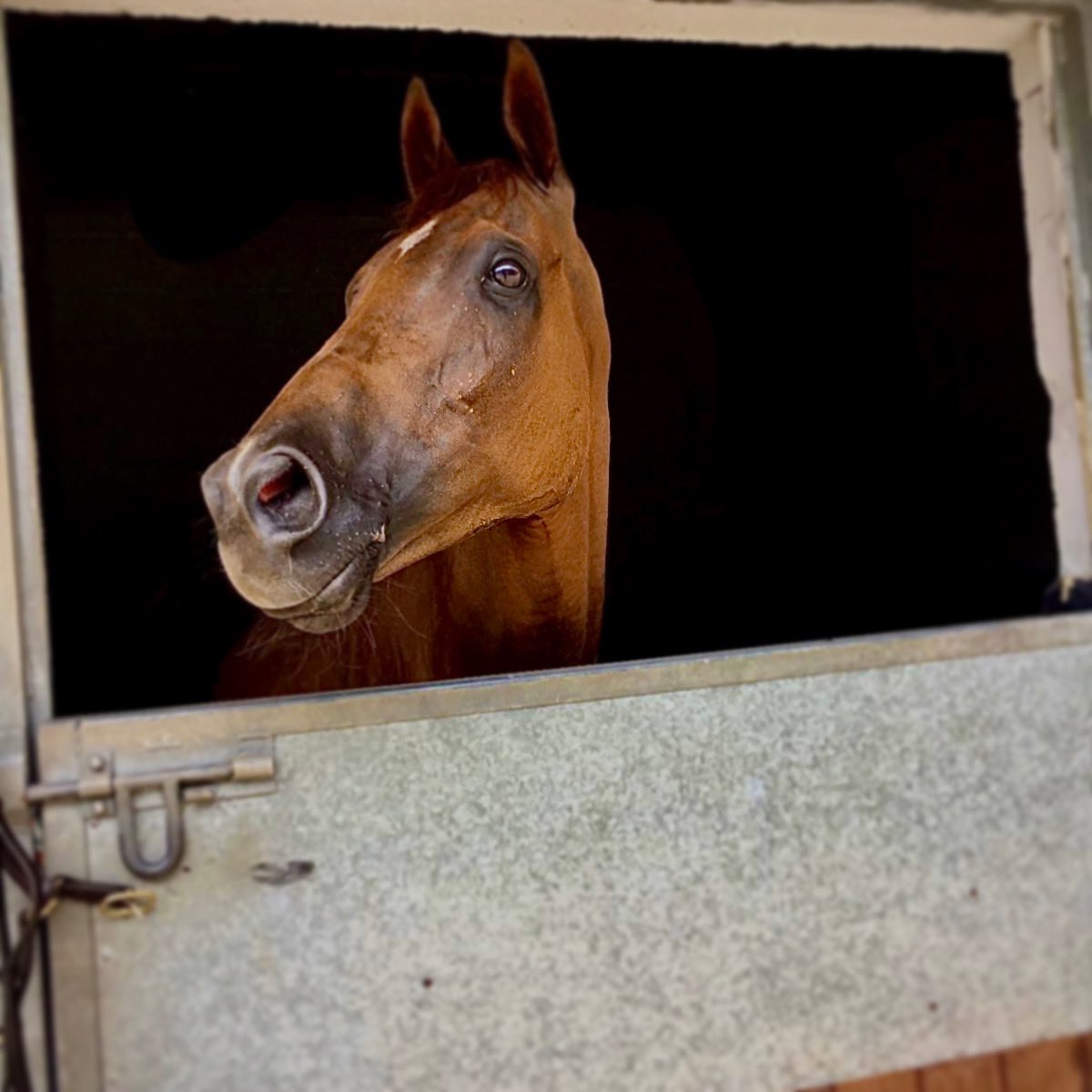 TonyCarsonRacing tweet media