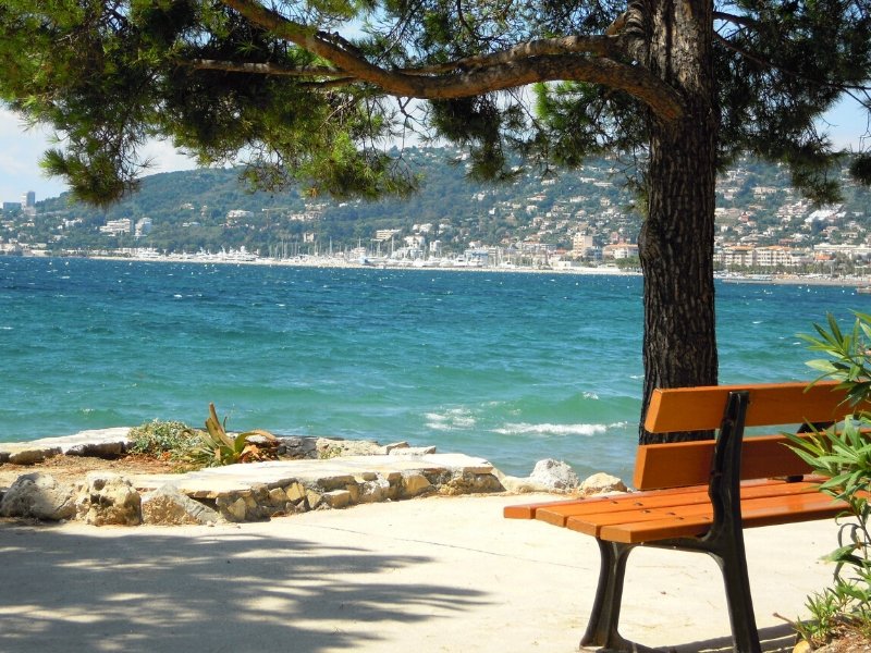 lifefrance's tweet photo. We're up to J in the A-Z of France month 🙂
What's your favourite French place beginning with J?
Pics: Josselin, Brittany; Juan-les-Pins, southern France; Joucques, Provence
#thegoodlifefrance https://t.co/6Qzt14pan1