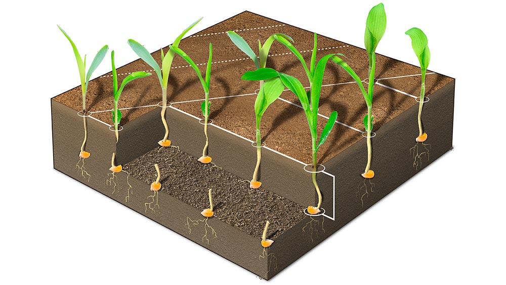 True singulation delivers unmatched precision in three dimensions – Length, depth, and width. #Tempo achieves this with PowerShoot technology.
1. Lengthwise –  Exact distance between each seed
2. Seed depth – Exact depth of each seed
3. Row by row – individual row shut off