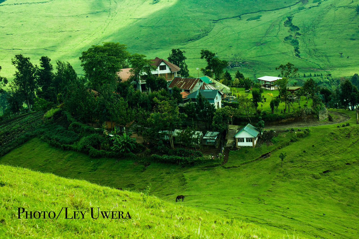 Ley_Uwera's tweet photo. This is #Congo 
This is #Kivu
This is #Masisi 
This is #Mushaki 

Photos taken by Ley Uwera https://t.co/ZPGMG4Rh07