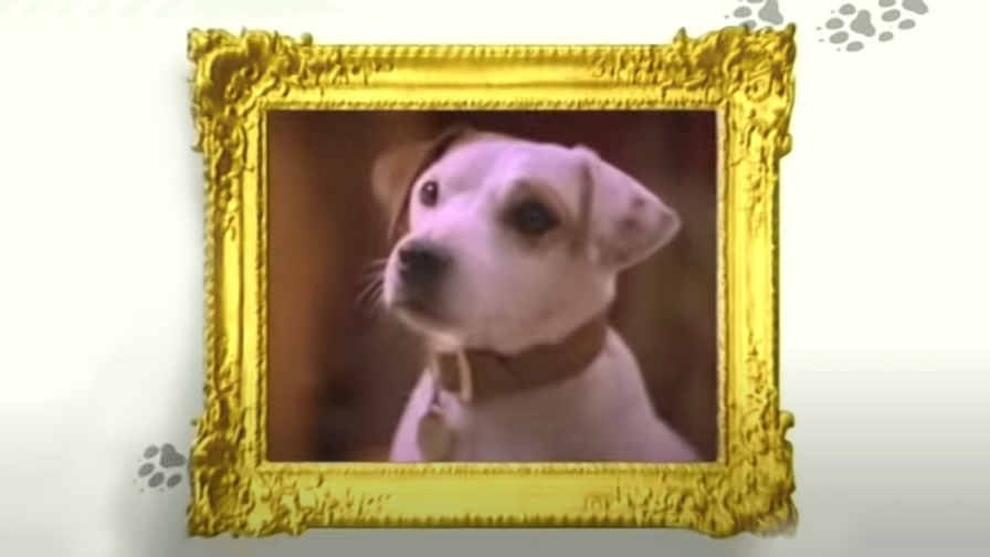 Cinepre Tvシリーズ 夢みる小犬ウィッシュボーン Wishbone 1995 1998年 を Mattel Films Universal Picturesが実写映画化するようだ ピーター ファレリーがプロデュース Roy Parkerが脚本を執筆する模様 T Co Ltae9o4ukd Variety