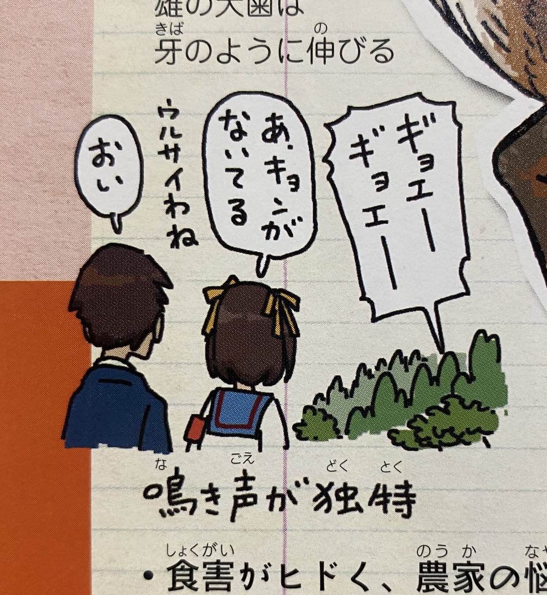 あんましピンと来てなかったけど、自分が書いた本や思考が訳されることによって他の国の人にも伝わるって、何か凄いな。てか、こんなアニメと映画のパロディネタだらけの本をよく翻訳してくれたというか…
https://t.co/WajJfppAoS 