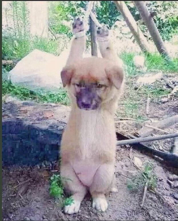 PhaedraXTeddy's tweet photo. #StopBokNal 
@moonriver365 help!!

I haven't bought an @Samsung phone in 8 years in protest.
 Last @LG washer dryer set broke fast anyway. Less than a year of mildewy smelling washer https://t.co/Ufow8ovl52