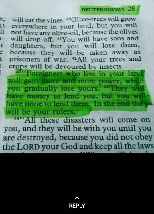 KgatediK's tweet photo. The bible has spoken https://t.co/Pdc7hlPsK5