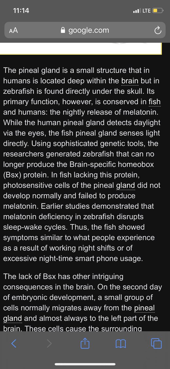 Look at the melatonin molecule.