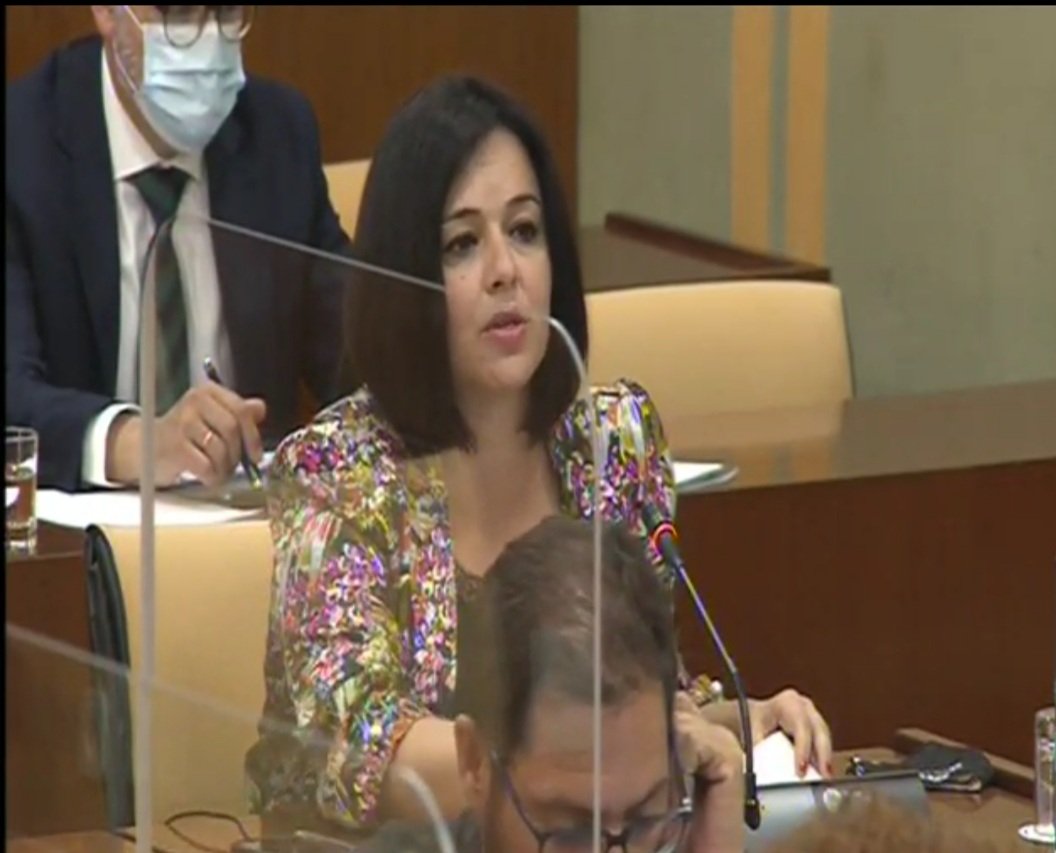 Virginiaperez11's tweet photo. Esta mañana en el @ParlamentoAnd en Comisión d Fomento, formulando pregunta parlamentaria a la Consejera @marifrangr sobre la Red de Metro de #Sevilla. La ampliación del trazado desde Prado de San Sebastián hasta Bellavista permitirá prestar servicio a más sevillanos. #PPCUMPLE. https://t.co/ZwNKkxNKyC