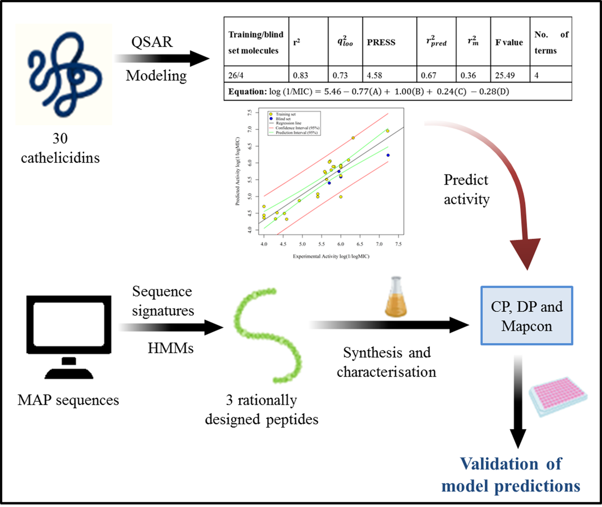 bicnirrh's tweet photo. In collaboration with @BCP_Autonomous @coutinholab, @bicnirrh has generated and experimentally validated a family-based QSAR model for prediction of antimicrobial peptides. 
#antimicrobialpeptide #peptidedesign #qsar #cathelicidins
@ICMRDELHI @icmrnirrh 
https://t.co/jUDjHxMtd5 https://t.co/BReeIxJjjb