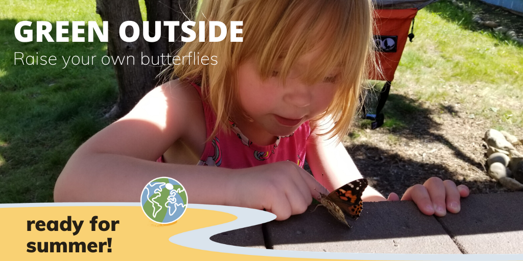 ecyspokane's tweet photo. Raising butterflies at home is a fun, easy way to get acquainted with some fluttery friends (who will help pollinate your neighborhood). Hunt for caterpillars in the wild or order a DIY kit. Here's more info: https://t.co/M1v3UHSu69 #WASummer @RaisingBflies https://t.co/PD83gdS9j2