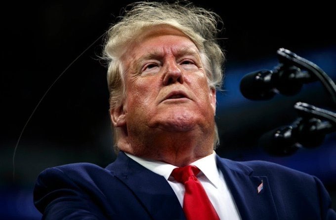 Hoagyland's tweet image. YOU SUCK AT YOUR JOB.
And you have ZERO understanding how PUBLIC SERVICE WORKS.
No wonder you have been an ABJECT FAILURE.
#DonnyJDope
#SupremeLoser
#TrumpVirus
#TrumpDeathToll138K
#ZeroPlanFromTrump
#EpicFailure
#TrumpOwnsEveryDeath
#TrumpOrAmerica
#HatchActViolation