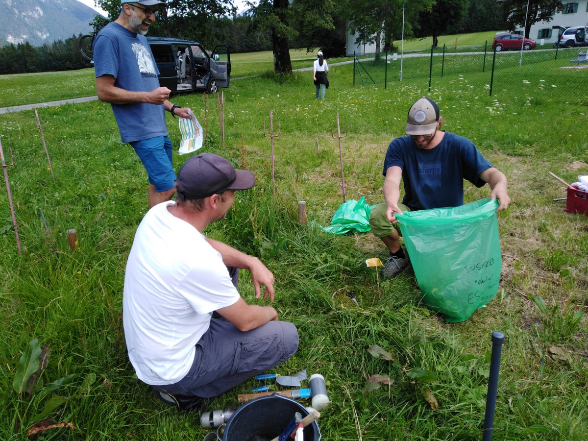 BBerauer's tweet image. Above and below ground sampling of #SUSALPS experiment with on-site, wind protected sorting of🌱🍀 very lovely work! Thanks everyone for being part of this campaign 🤩🙏
