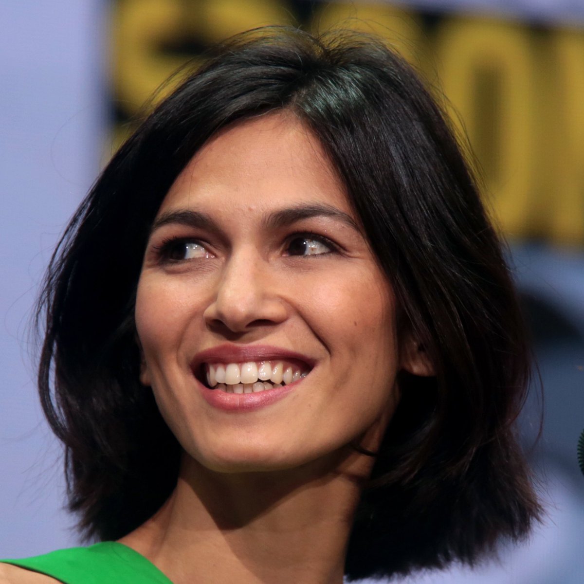 Clint Barton/Hawkeye ~ Elodie Yung