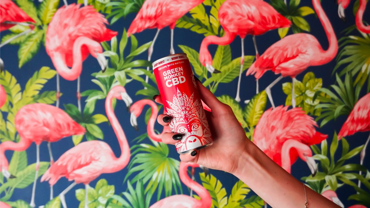 cbdgreenmonkey's tweet photo. Escape With Nature...

#CBD #cbdlife #CBDdrinks #SummerTreats https://t.co/CjF4uI8eGg