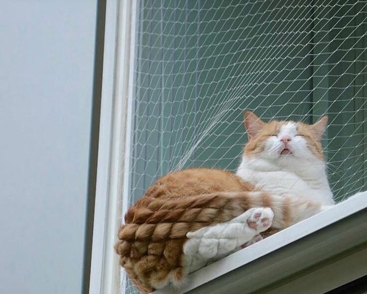 ً (@luxuryflix) on Twitter photo 