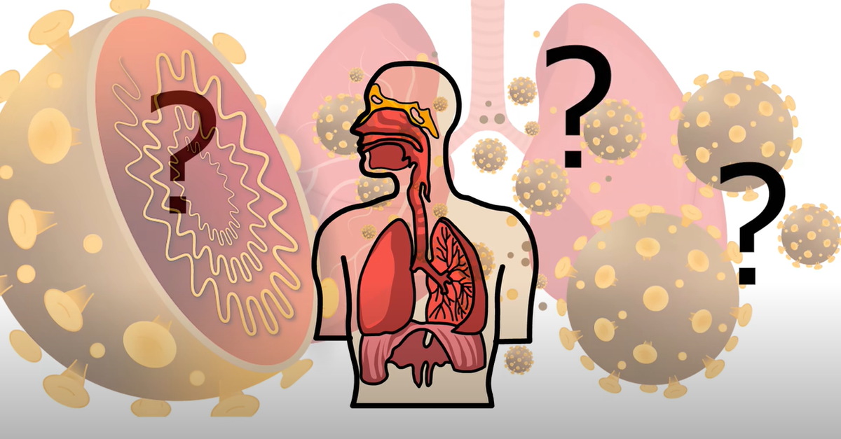 PhySoc's tweet image. There is misinformation currently circulating regarding face masks reducing oxygen levels in our blood. Member Deborah Baines dispels this concern on our blog by explaining the physiology of oxygen flow in our lungs and blood. physoc.org/blog/are-face-… #WearAMask
