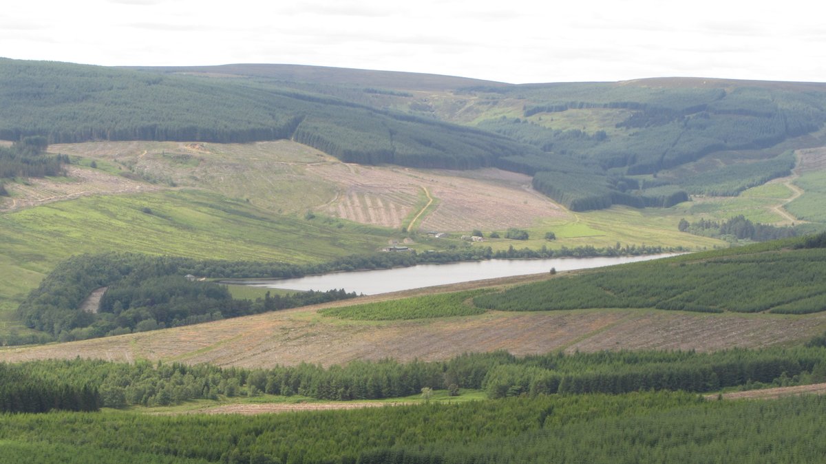 Day 4) cont: Views of the Catcleugh Reservoir were spoilt by the gross remains of a BBQ and soggy clothing. Despite the extra weight on a middle-aged back and virus concerns, I bagged it up and took it down to Byrness.