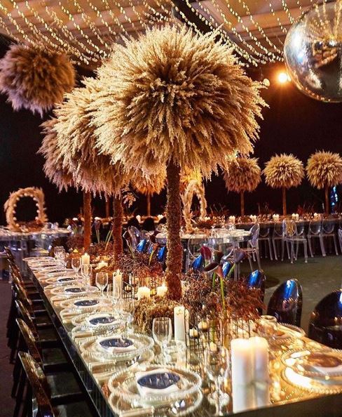 StephanieBotto2's tweet photo. Pampas grass &amp; fairy lights for a lit exquisite night!!!!
#thegrand1401 #events #corporateevents #weddings #birthdayparties #eventplanner https://t.co/BrK3dGkunN