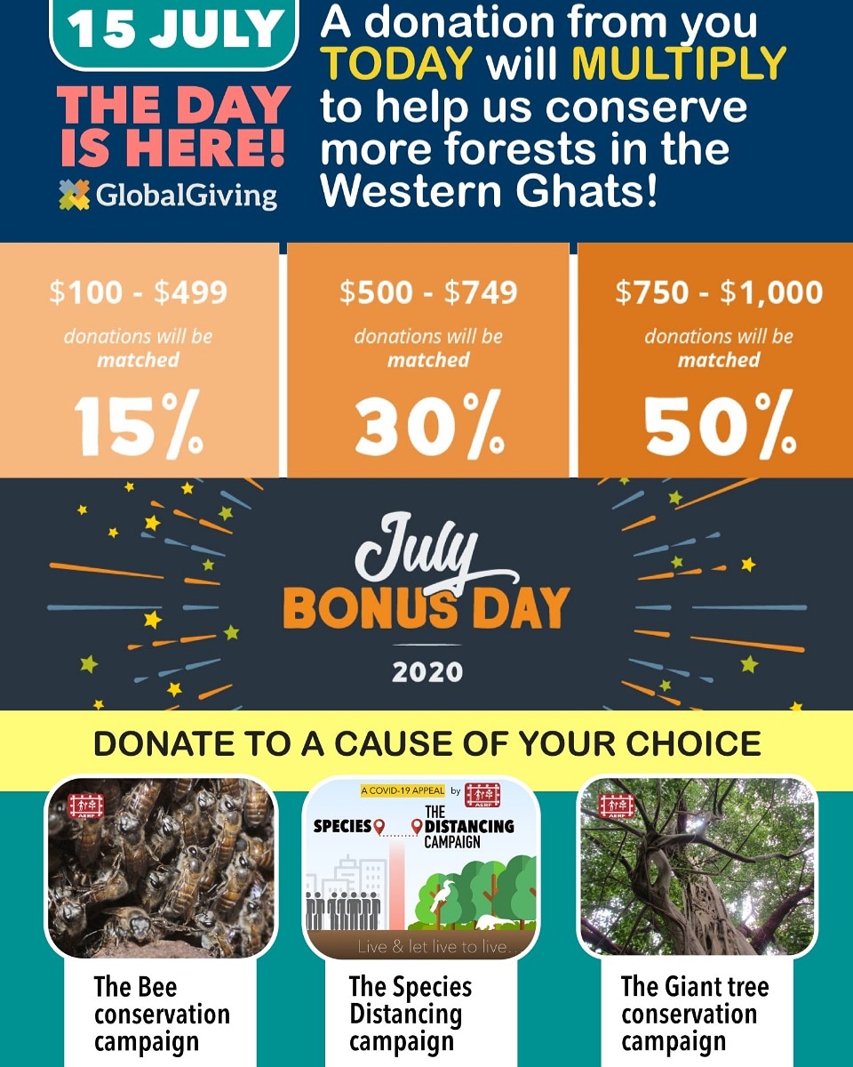 Applied Environmental Research Foundation (@aerfconserve) on Twitter photo You can help us reach our targets sooner if you donate to our <a href="/globalgiving/">GlobalGiving</a> campaigns TODAY! 
 Giant Trees, Bees or all the species - contribute to the one closest to your heart. 
globalgiving.org/search/?size=2…
#ClimateActionNow #savetheplanet #savethebees #biodiversityconservation You can help us reach our targets sooner if you donate to our <a href="/globalgiving/">GlobalGiving</a> campaigns TODAY! 
 Giant Trees, Bees or all the species - contribute to the one closest to your heart. 
globalgiving.org/search/?size=2…
#ClimateActionNow #savetheplanet #savethebees #biodiversityconservation