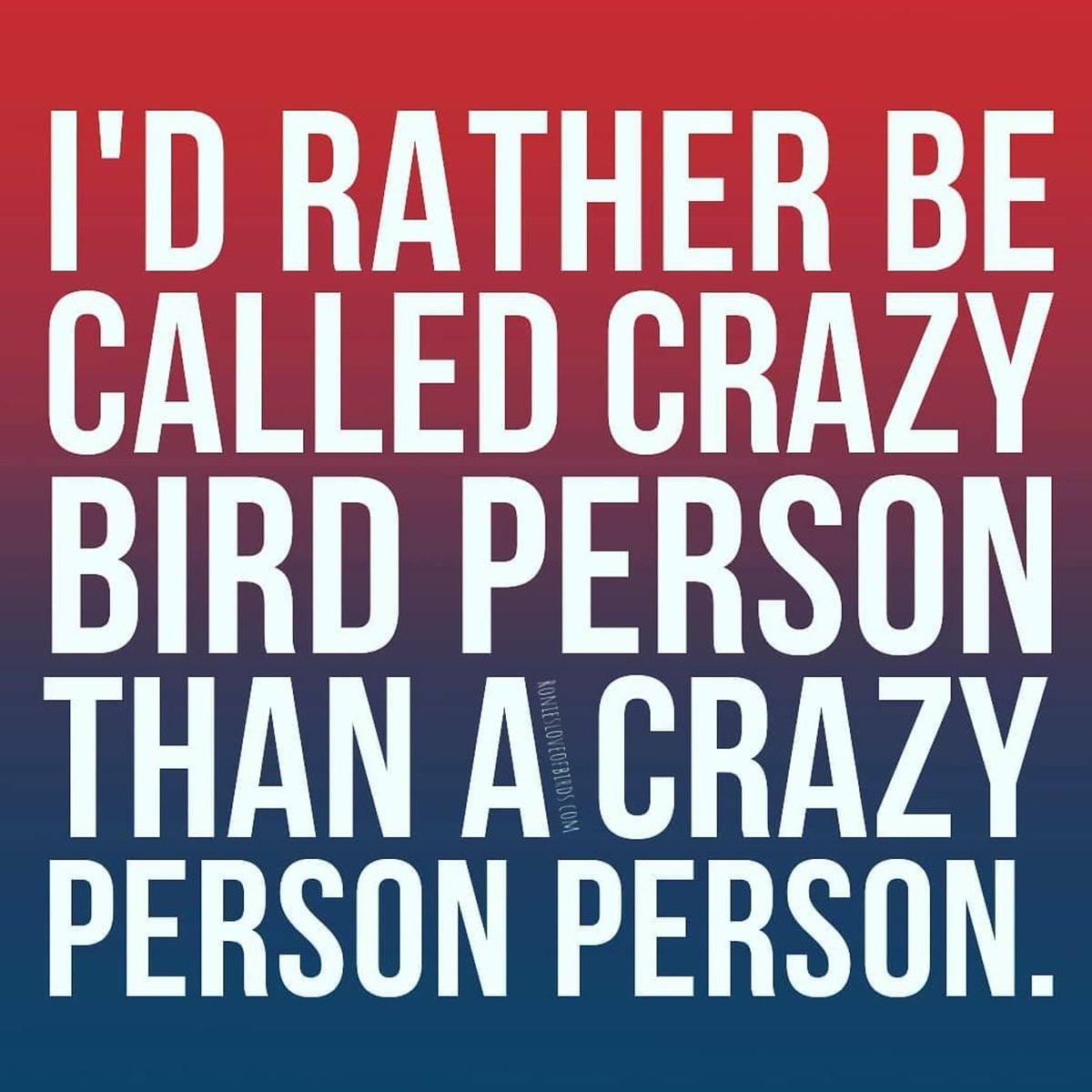 RoniesOf's tweet photo. The more I am around people & birds, the more l can appreciate this. 🤣 Birds are the best!
#RoniesLoveofBirds #parrotHumor https://t.co/0GOiUzVO64