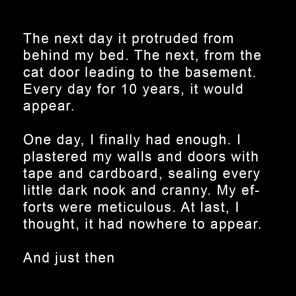 shenanigansen's tweet image. 