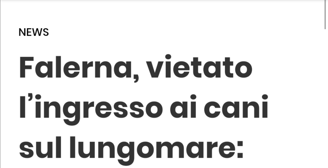 Pistogolblasta2's tweet image. #Gagliardini e #Candreva non sono i benvenuti sul lungomare di #Falerna.