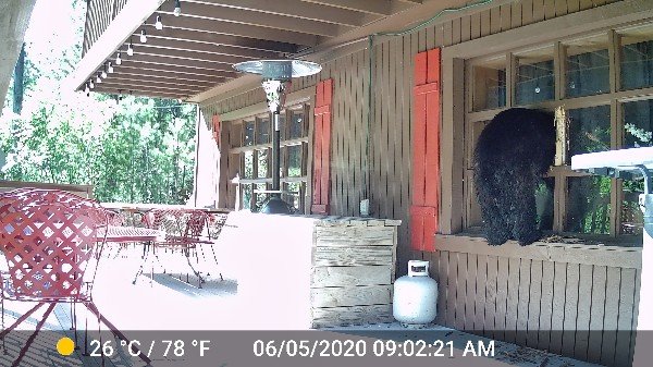 CPW NE Region tweet media