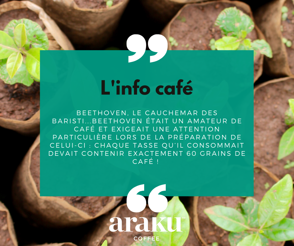 arakucoffee tweet media