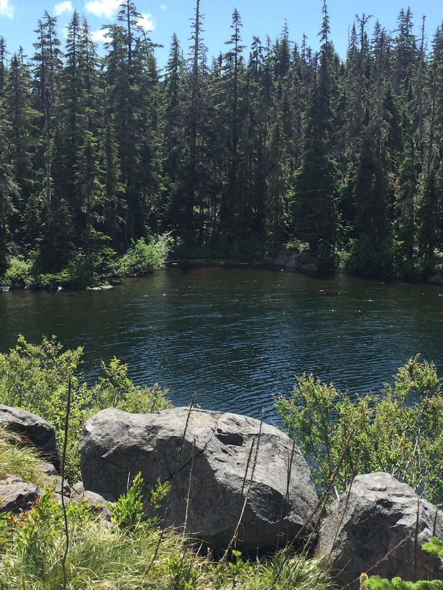 CoachHendu3's tweet photo. Always pay attention and fully understand when your spouse ask, and you agree to go on a little hiking trip! https://t.co/Sik1TO4ffV