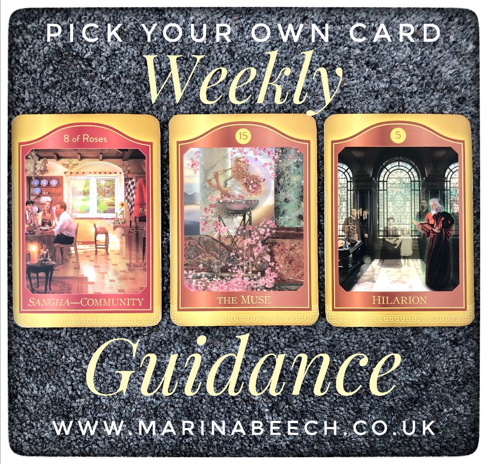 beech_soul's tweet photo. 😱 ONLY 1 WEEK TO GO BEFORE I REVEAL MY GUIDE TO USING YOUR AKASHIC RECORDS........ EEEK! 😱 - https://t.co/LtxoIk6oOv https://t.co/eDpQwfzi12