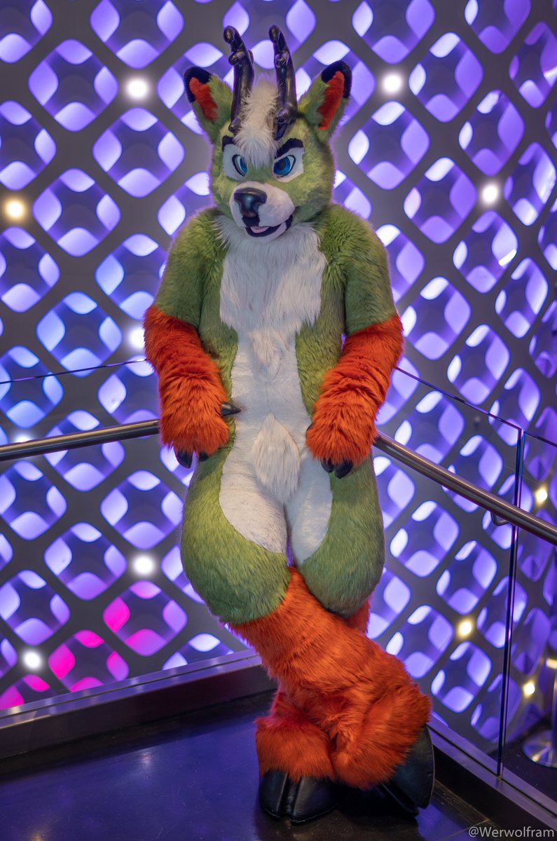 Werwolfram's tweet photo. Sassy Deer
#TFF20
🦌: @Expressfur
👔: @thefuzzfactory https://t.co/pgkOZU3A3u